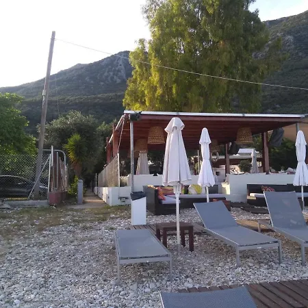 Nikoletta's *