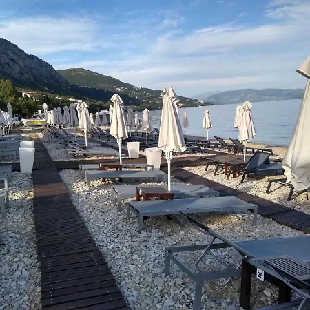Nikoletta's *