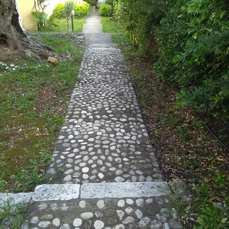 Nikoletta's